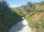 Road Road